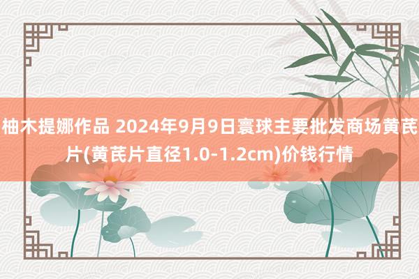 柚木提娜作品 2024年9月9日寰球主要批发商场黄芪片(黄芪片直径1.0-1.2cm)价钱行情