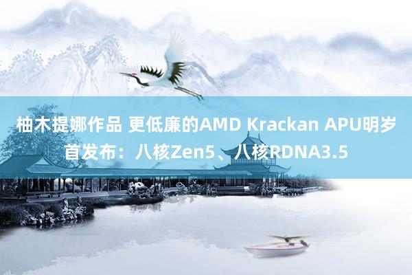 柚木提娜作品 更低廉的AMD Krackan APU明岁首发布：八核Zen5、八核RDNA3.5