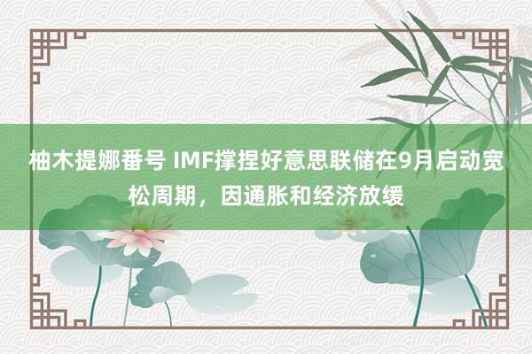 柚木提娜番号 IMF撑捏好意思联储在9月启动宽松周期，因通胀和经济放缓