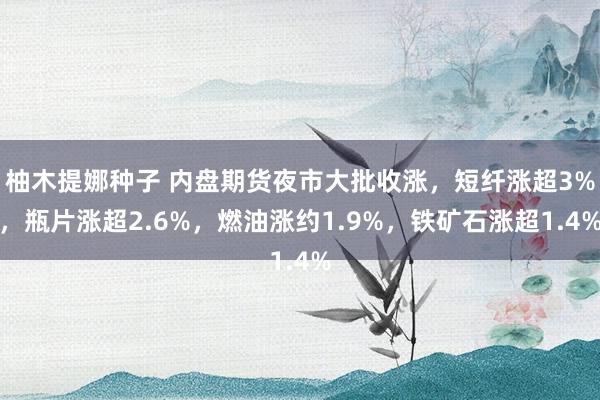 柚木提娜种子 内盘期货夜市大批收涨，短纤涨超3%，瓶片涨超2.6%，燃油涨约1.9%，铁矿石涨超1.4%