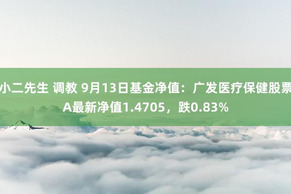 小二先生 调教 9月13日基金净值：广发医疗保健股票A最新净值1.4705，跌0.83%