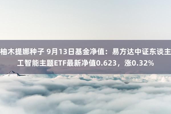 柚木提娜种子 9月13日基金净值：易方达中证东谈主工智能主题ETF最新净值0.623，涨0.32%