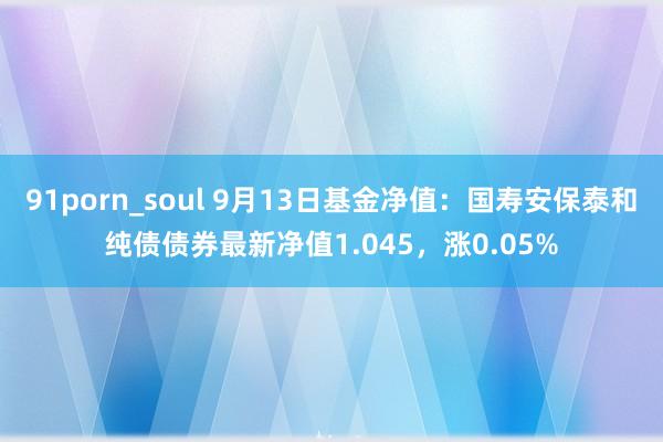 91porn_soul 9月13日基金净值：国寿安保泰和纯债债券最新净值1.045，涨0.05%