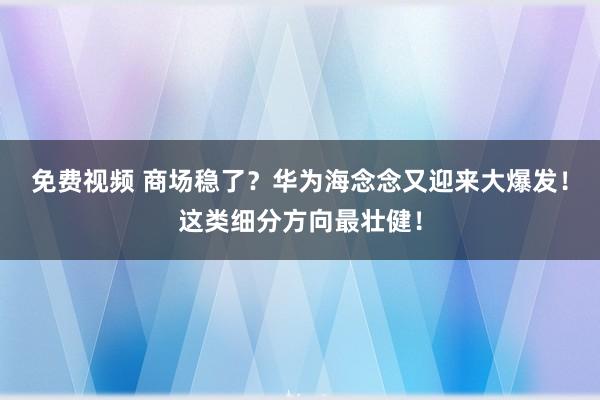 免费视频 商场稳了？华为海念念又迎来大爆发！这类细分方向最壮健！