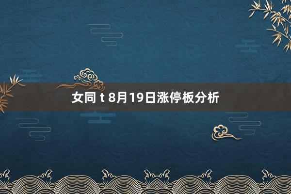 女同 t 8月19日涨停板分析