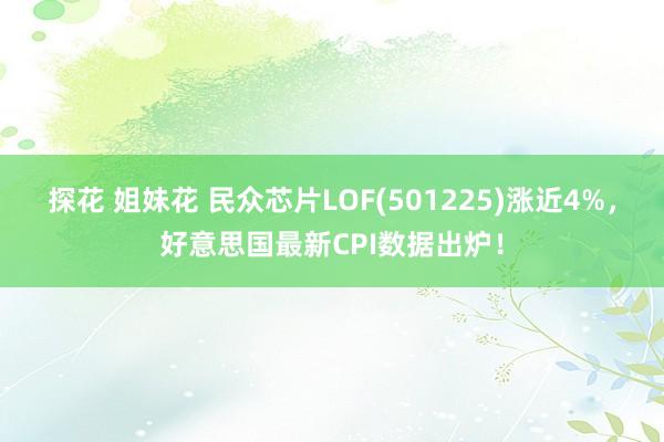 探花 姐妹花 民众芯片LOF(501225)涨近4%，好意思国最新CPI数据出炉！