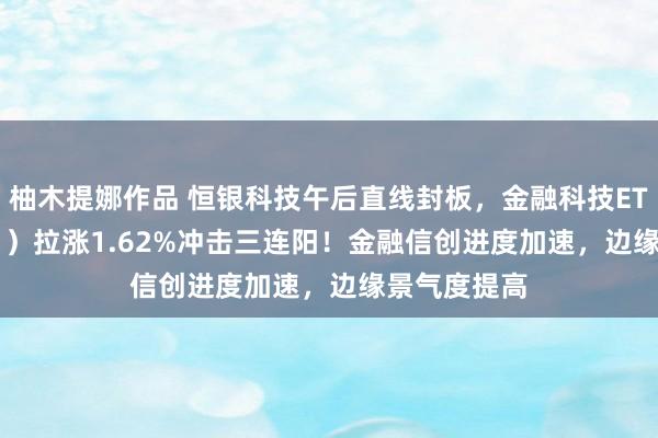 柚木提娜作品 恒银科技午后直线封板，金融科技ETF（159851）拉涨1.62%冲击三连阳！金融信创进度加速，边缘景气度提高