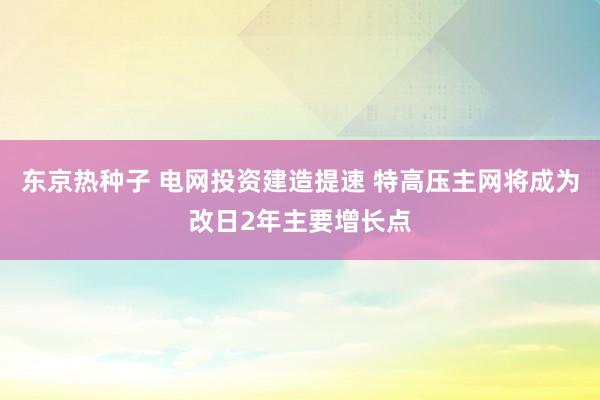 东京热种子 电网投资建造提速 特高压主网将成为改日2年主要增长点