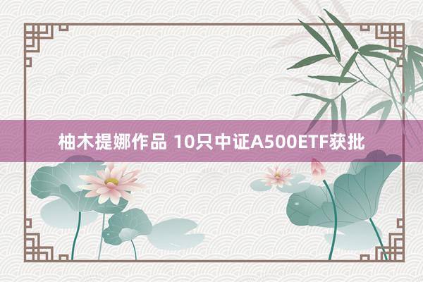 柚木提娜作品 10只中证A500ETF获批