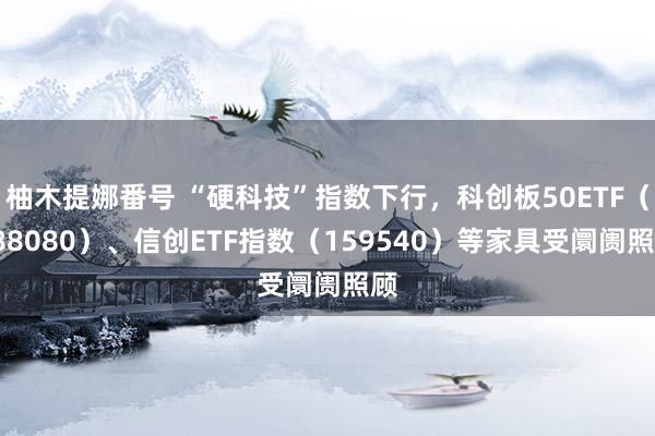 柚木提娜番号 “硬科技”指数下行，科创板50ETF（588080）、信创ETF指数（159540）等家具受阛阓照顾