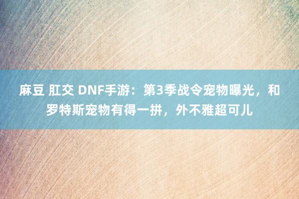 麻豆 肛交 DNF手游：第3季战令宠物曝光，和罗特斯宠物有得一拼，外不雅超可儿