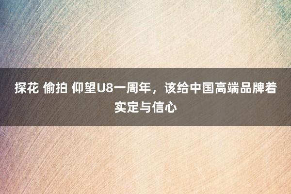 探花 偷拍 仰望U8一周年，该给中国高端品牌着实定与信心