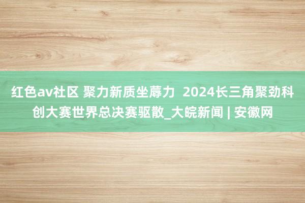 红色av社区 聚力新质坐蓐力  2024长三角聚劲科创大赛世界总决赛驱散_大皖新闻 | 安徽网