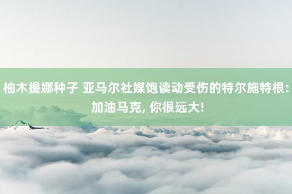 柚木提娜种子 亚马尔社媒饱读动受伤的特尔施特根: 加油马克， 你很远大!