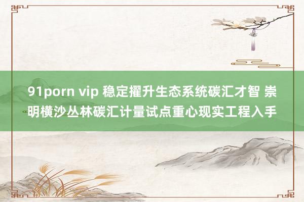 91porn vip 稳定擢升生态系统碳汇才智 崇明横沙丛林碳汇计量试点重心现实工程入手