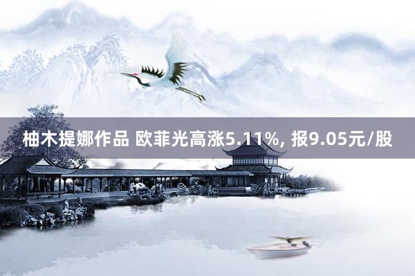 柚木提娜作品 欧菲光高涨5.11%， 报9.05元/股