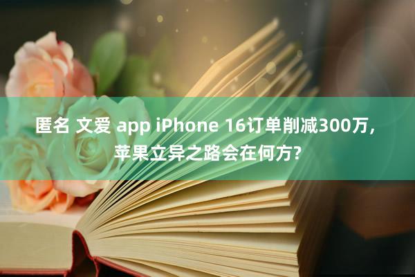 匿名 文爱 app iPhone 16订单削减300万， 苹果立异之路会在何方?