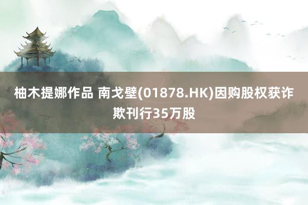 柚木提娜作品 南戈壁(01878.HK)因购股权获诈欺刊行35万股