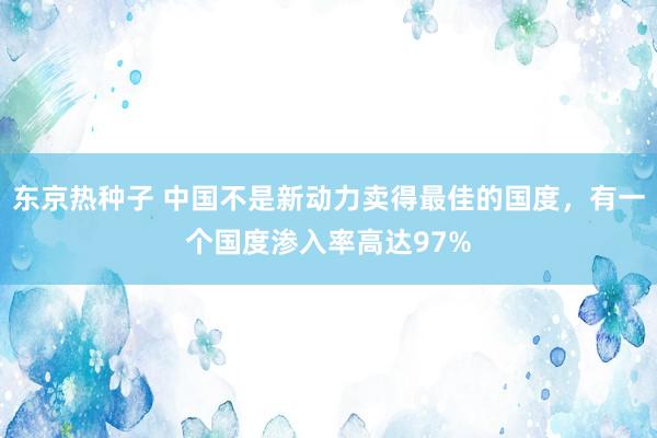 东京热种子 中国不是新动力卖得最佳的国度，有一个国度渗入率高达97%