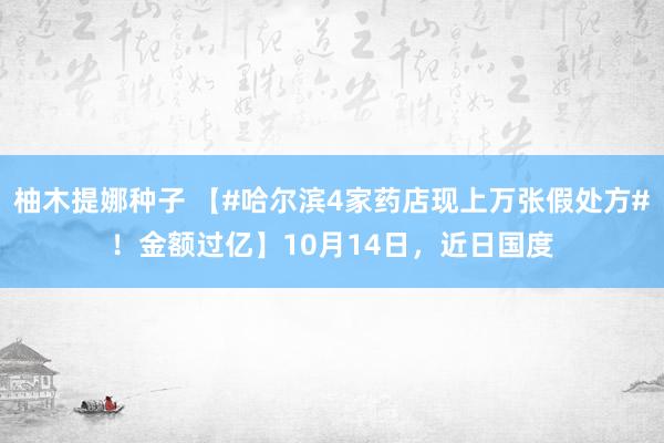 柚木提娜种子 【#哈尔滨4家药店现上万张假处方#！金额过亿】10月14日，近日国度