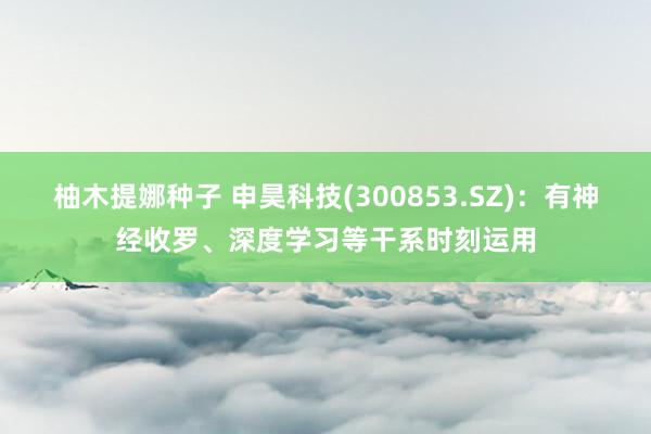 柚木提娜种子 申昊科技(300853.SZ)：有神经收罗、深度学习等干系时刻运用