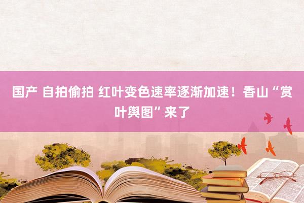 国产 自拍偷拍 红叶变色速率逐渐加速！香山“赏叶舆图”来了