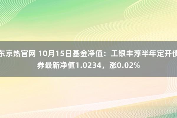 东京热官网 10月15日基金净值：工银丰淳半年定开债券最新净值1.0234，涨0.02%