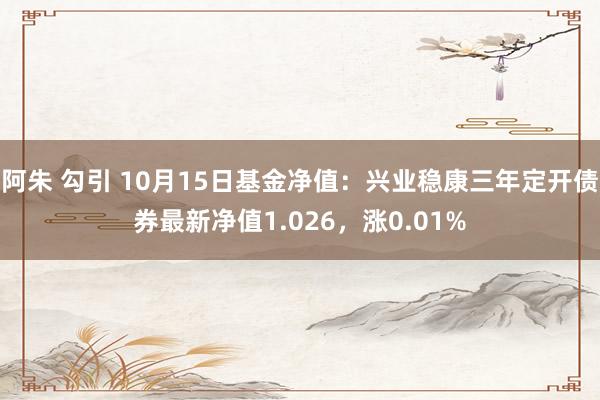 阿朱 勾引 10月15日基金净值：兴业稳康三年定开债券最新净值1.026，涨0.01%