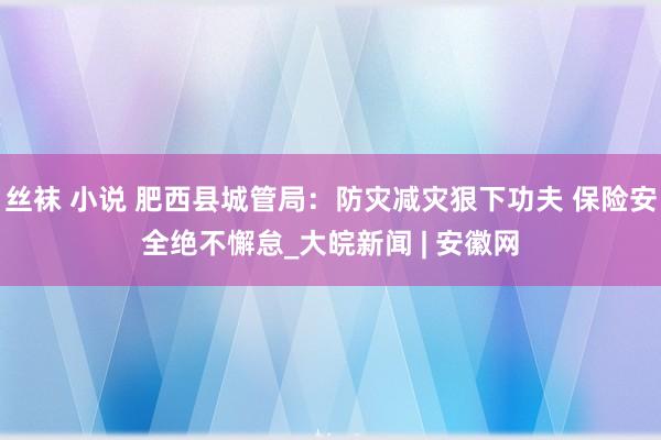 丝袜 小说 肥西县城管局：防灾减灾狠下功夫 保险安全绝不懈怠_大皖新闻 | 安徽网