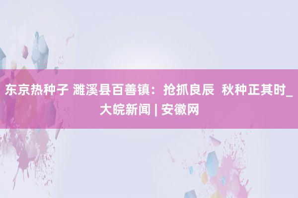 东京热种子 濉溪县百善镇：抢抓良辰  秋种正其时_大皖新闻 | 安徽网