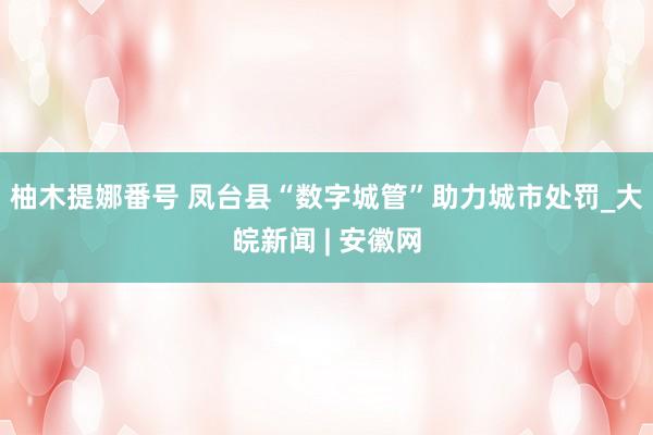 柚木提娜番号 凤台县“数字城管”助力城市处罚_大皖新闻 | 安徽网