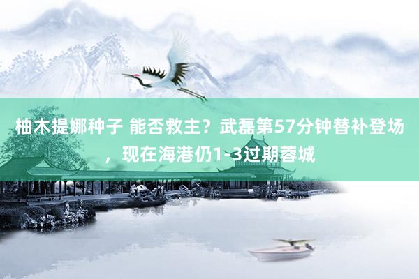 柚木提娜种子 能否救主？武磊第57分钟替补登场，现在海港仍1-3过期蓉城