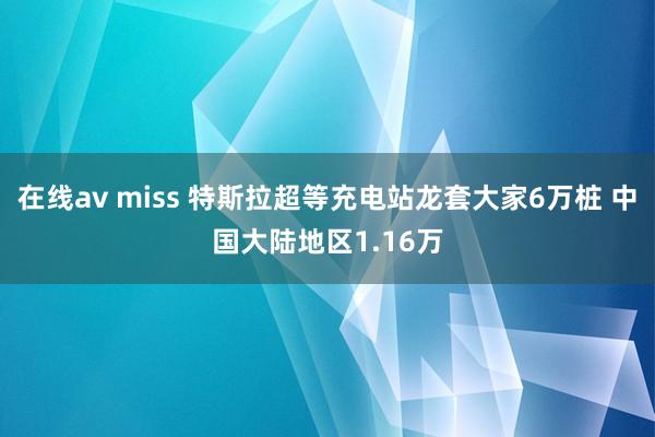 在线av miss 特斯拉超等充电站龙套大家6万桩 中国大陆地区1.16万