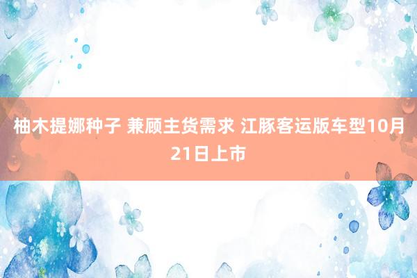 柚木提娜种子 兼顾主货需求 江豚客运版车型10月21日上市