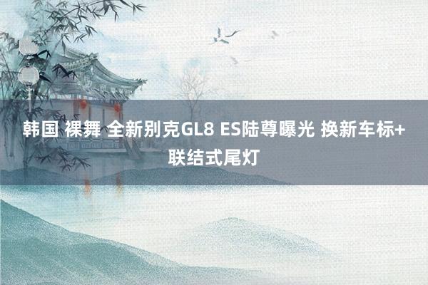 韩国 裸舞 全新别克GL8 ES陆尊曝光 换新车标+联结式尾灯