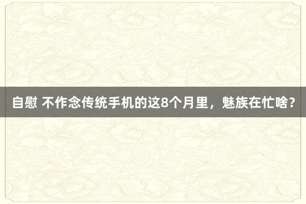 自慰 不作念传统手机的这8个月里，魅族在忙啥？