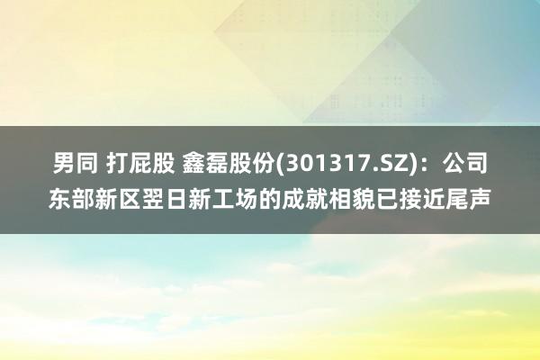 男同 打屁股 鑫磊股份(301317.SZ)：公司东部新区翌日新工场的成就相貌已接近尾声