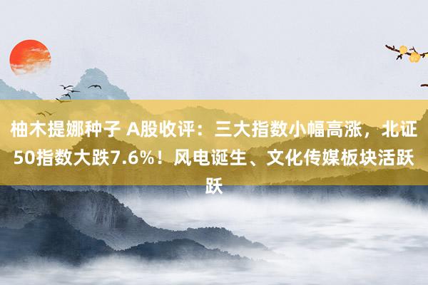 柚木提娜种子 A股收评：三大指数小幅高涨，北证50指数大跌7.6%！风电诞生、文化传媒板块活跃