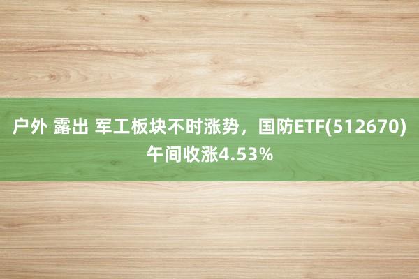 户外 露出 军工板块不时涨势，国防ETF(512670)午间收涨4.53%