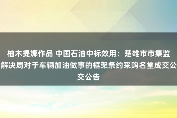 柚木提娜作品 中国石油中标效用：楚雄市市集监督解决局对于车辆加油做事的框架条约采购名堂成交公告