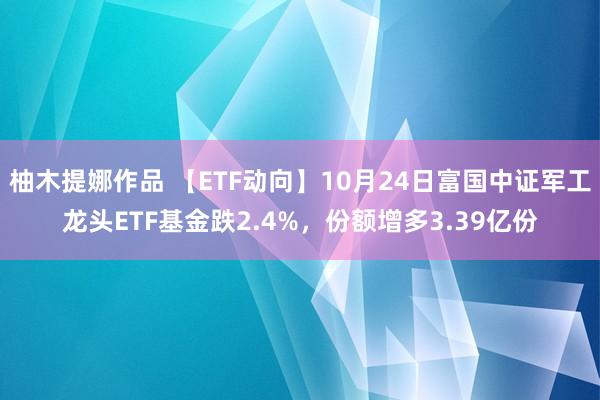 柚木提娜作品 【ETF动向】10月24日富国中证军工龙头ETF基金跌2.4%，份额增多3.39亿份