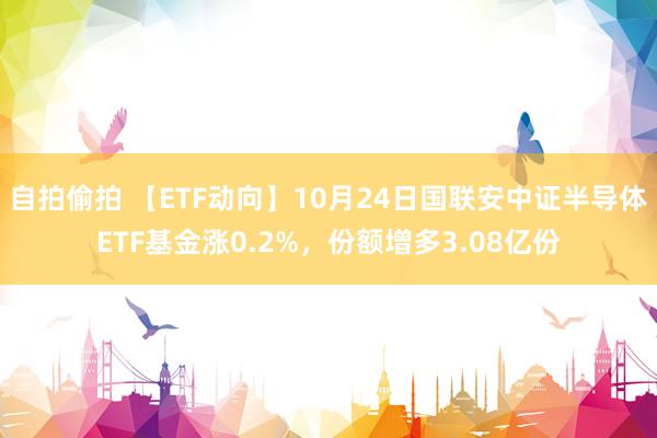 自拍偷拍 【ETF动向】10月24日国联安中证半导体ETF基金涨0.2%，份额增多3.08亿份