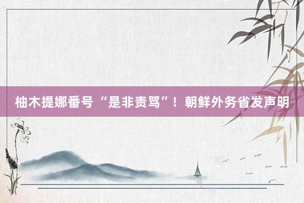 柚木提娜番号 “是非责骂”！朝鲜外务省发声明