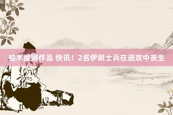 柚木提娜作品 快讯！2名伊朗士兵在进攻中丧生