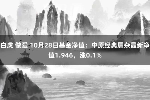 白虎 做爱 10月28日基金净值：中原经典羼杂最新净值1.946，涨0.1%