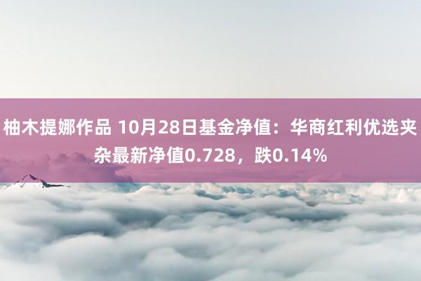 柚木提娜作品 10月28日基金净值：华商红利优选夹杂最新净值0.728，跌0.14%