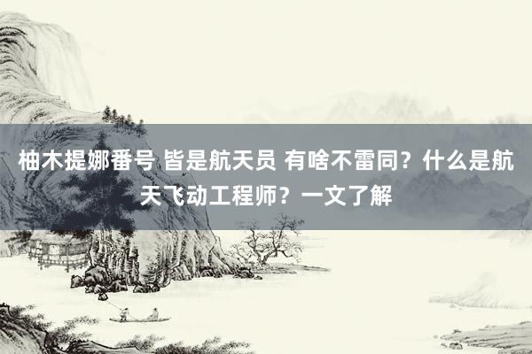 柚木提娜番号 皆是航天员 有啥不雷同？什么是航天飞动工程师？一文了解