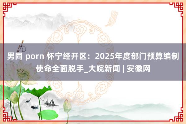 男同 porn 怀宁经开区：2025年度部门预算编制使命全面脱手_大皖新闻 | 安徽网