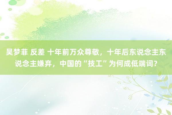 吴梦菲 反差 十年前万众尊敬，十年后东说念主东说念主嫌弃，中国的“技工”为何成低端词？