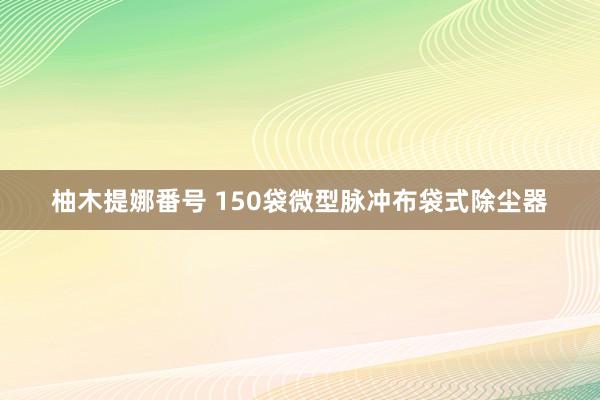 柚木提娜番号 150袋微型脉冲布袋式除尘器